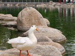-莲湖公园
