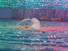 -海合安青岛极地海洋公园