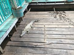 -洞里萨湖