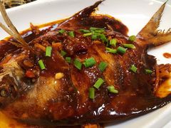 红烧苍鱼-渔中舟海鲜大排档(普陀沈家门店)