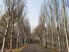 -东郊湿地公园