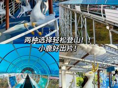 -盈香心动乐园