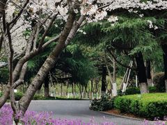 -白塘生态植物园