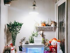 -蘑菇圈·云南野生菌菇炒饭·巷口食堂(悦荟店)
