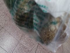 -护国寺小吃(新街口店)