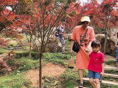-广州市帽峰山景区
