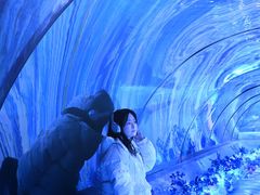 -重庆欢乐海底世界