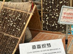 -新地休闲农场