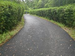 -天目湖涵田半山温泉