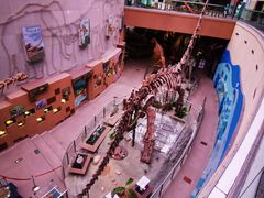 -陕西自然博物馆