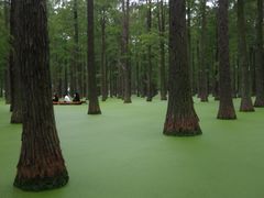 -渌洋湖湿地公园