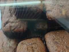 -闻酥园(大慈寺店)