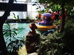 -南宫五洲植物乐园