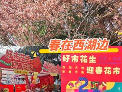 -西湖天地