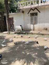-玄武湖景区-情侣园游乐场