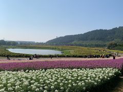 -径山花海