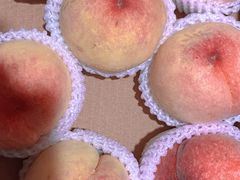 -老袁家蜜桃农场·阳山水蜜桃