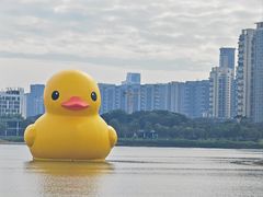 -深圳人才公园
