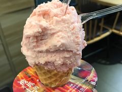 -野人先生现做冰淇淋(北京顺义祥云小镇店)