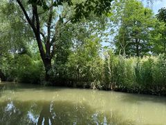 -同里国家湿地公园