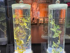 -广东中医药博物馆