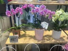-盒马鲜生(昆城店)