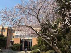 -清华大学-清芬园