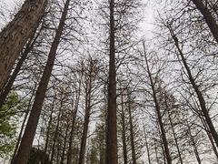 -苏州太湖湖滨国家湿地公园