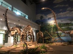 -自贡恐龙博物馆