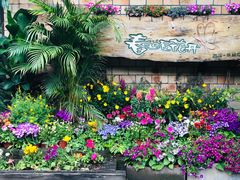 -春暖花开(西溪店)