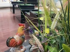 -希望齿科(河西店)