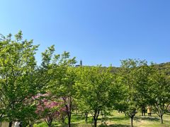 -苏州上方山国家森林公园