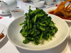 五粮液嫩豆苗-玫瑰厅上海菜(兴国路店)