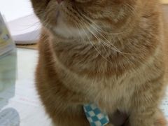 -百信宠物医院(东升街店)