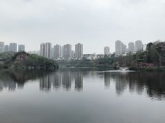 -重庆彩云湖湿地公园