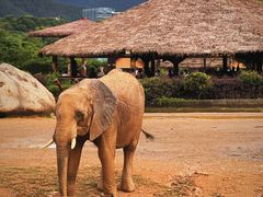 -杭州野生动物世界