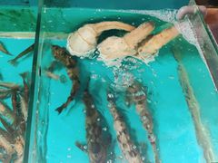 -中苑海韵