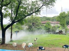 -宁波野生动物园