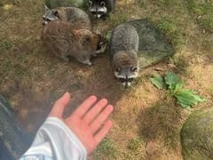 -大连森林动物园