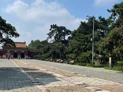 -北陵公园