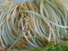 -老版火锅.12年西安排队王(沣峪口店)