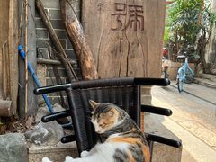 -吴财记面家(大同路店)