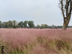 -汉长安城未央宫国家考古遗址公园