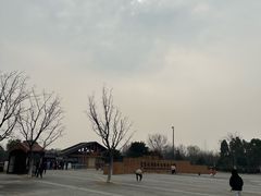 -盘龙城国家考古遗址公园