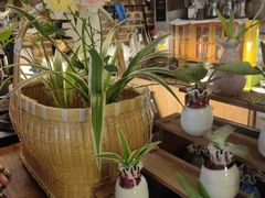 -宝翠花园餐厅(沙湖店)