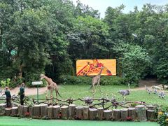 -广州长隆野生动物世界