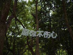 -杭州植物园