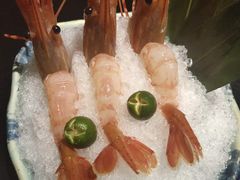 -鲤·鮨KOISUSHI