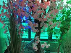 -野妹火锅(龙岗店)
