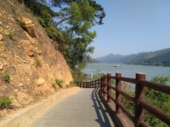 -羚羊峡古栈道森林公园